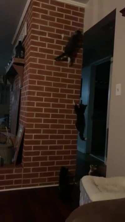 Not quite the climbing master yet