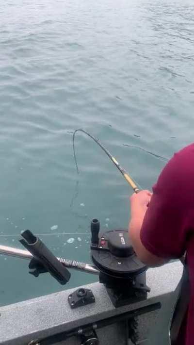 Just a casual day out fishing for salmon.........