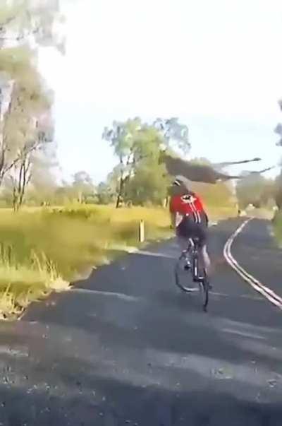 Goes to show anything can happen