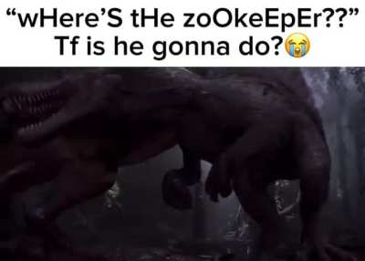 Just let them fight it out😭