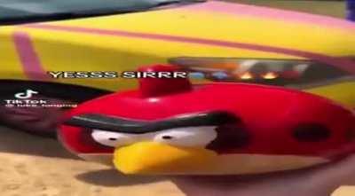 Anger Bird