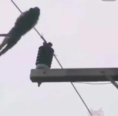 NOO0oOOOoOoOo😭😔