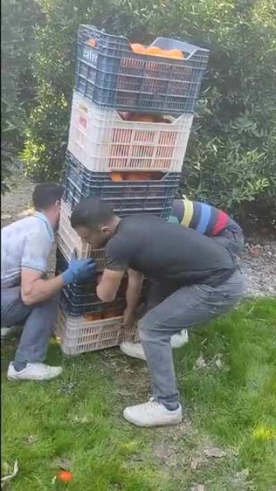 Bu😺işin😃kralı😎biziz🥴