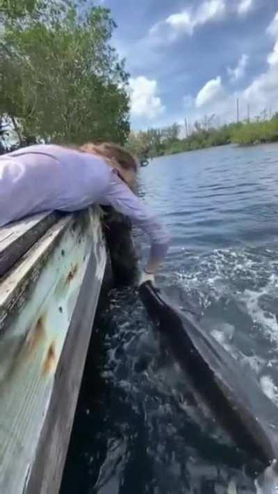 The nervous laugh at the end