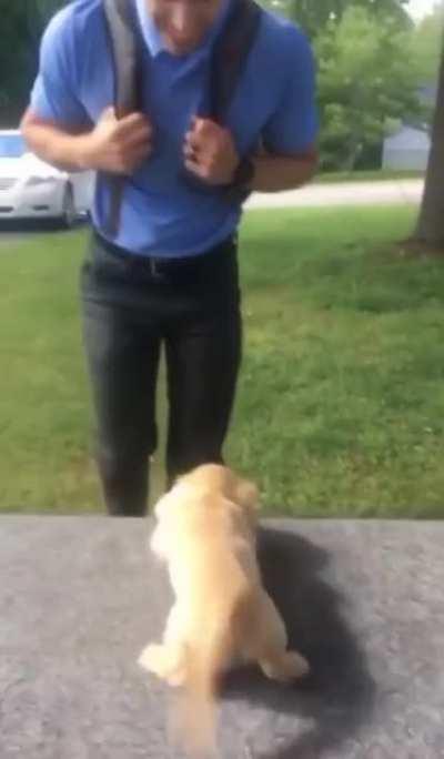 Pupper getting adorably excited when their dad comes home