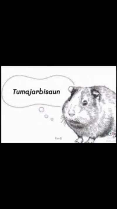 Wenomechainsama Tumajarbisaun Wifenloof Eselifterbraun