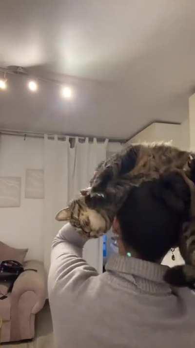 Looking good and stylish 