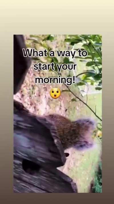 Can feel the pain through this video