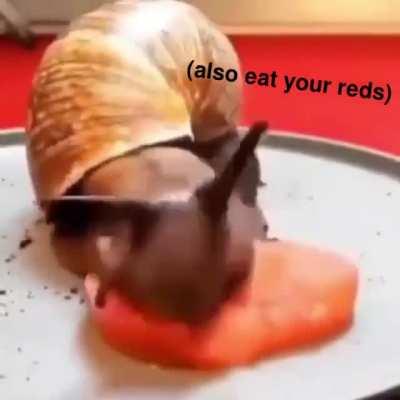 Snail snack Saturday 🐌