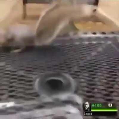 Me fighting charger bot with a melee on low hp