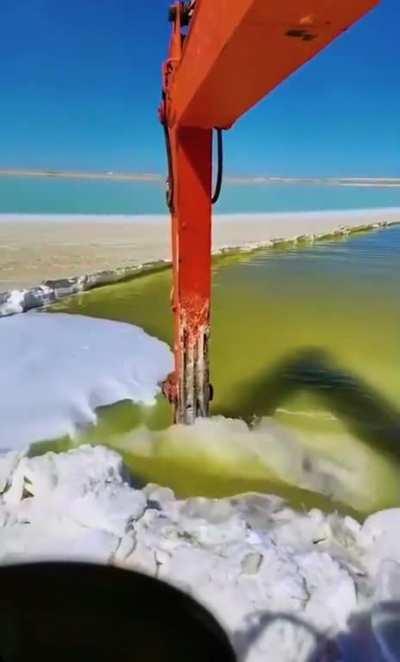 Anyone know what they are doing here?