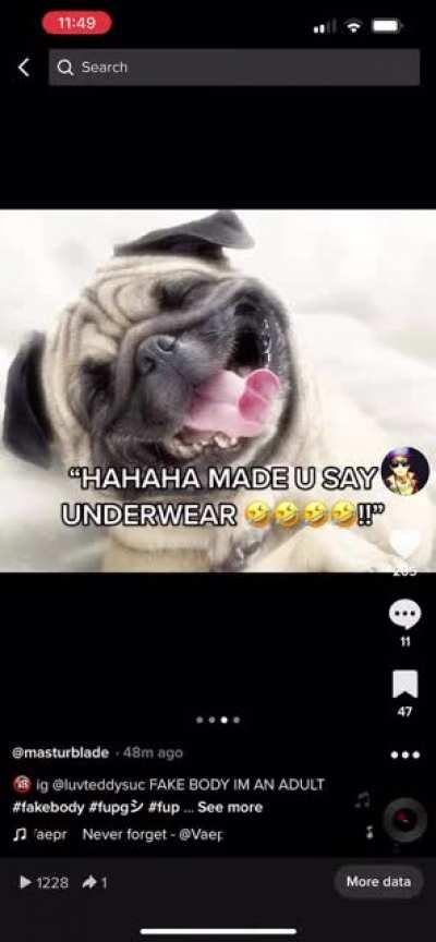 This is hilarious and definitely belongs here 👍👍👍👍👍😇 ha ha