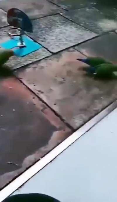 New NBA in the making