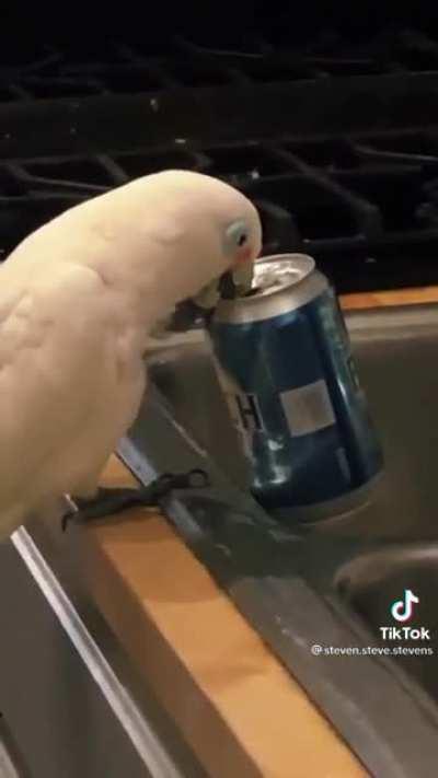 Even a bird has got to let loose.