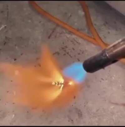 Bulgarians when they see a Turkish child.