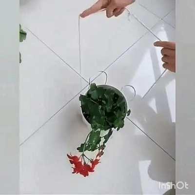 How to use string to life a potted plant