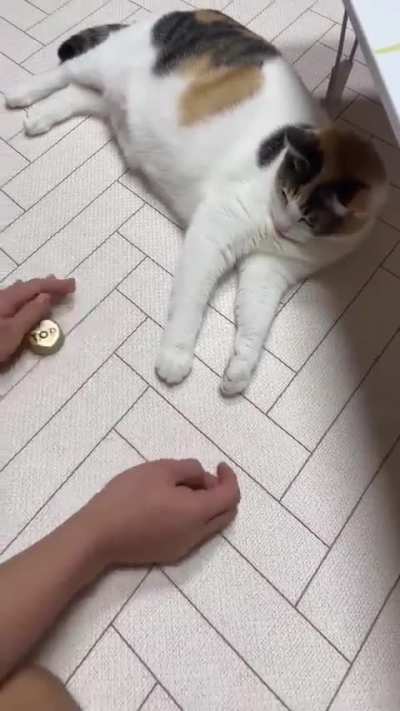 Watch the puck! Not the hands! Where did it go?! Which hand?