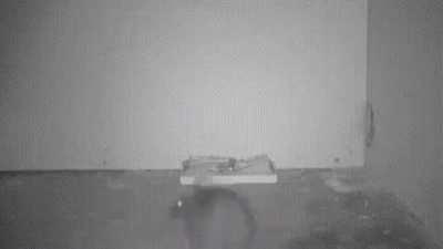 Imagine he comes in your room and beats your ass