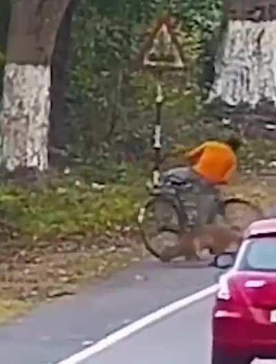 Always use the Bike lane.