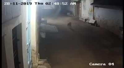 A Normal Day in India