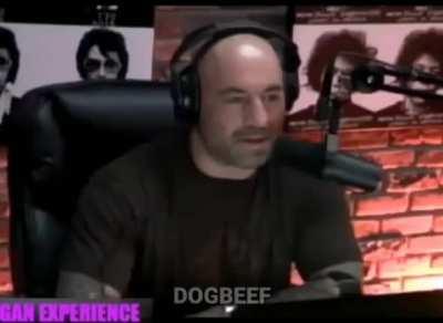 Thank you for the knowledge vsauce I'll go kill some kids now