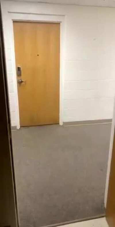 When duckings party with a college dorm.