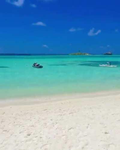 Chahatt Khanna (New)