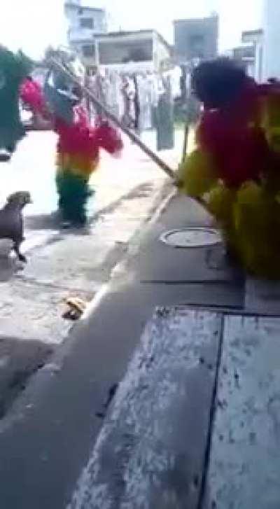 Tobia cobrando divida