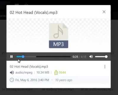 Hot Head misheard Lyric