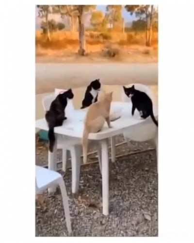 They were having a Secret Meeting