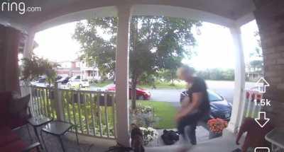 Dog gets mauled in seconds (Ottawa ON)