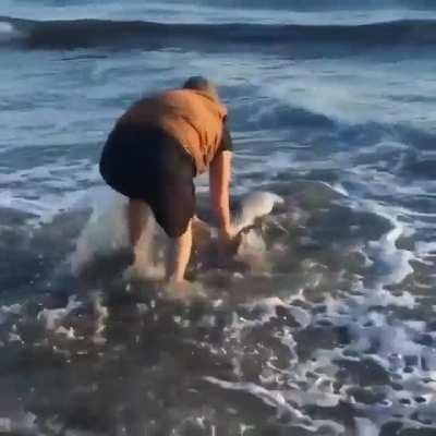 Good samaritan helps baby dolphin back in the water due to being pushed by high ocean winds🐬💙