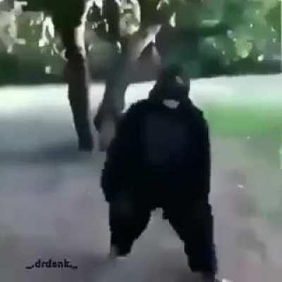 so os mamaco da tribo da jingola online no grupo