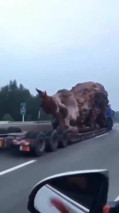 Hand-carved Sequoia sculpture ,took 3 years to complete