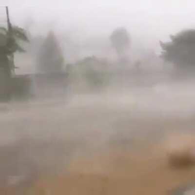 On top of Corona, Egypt now has mass flooding, locusts, and hail.