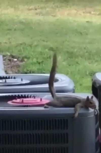 Классный толчок