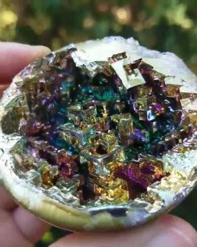 The force is among us