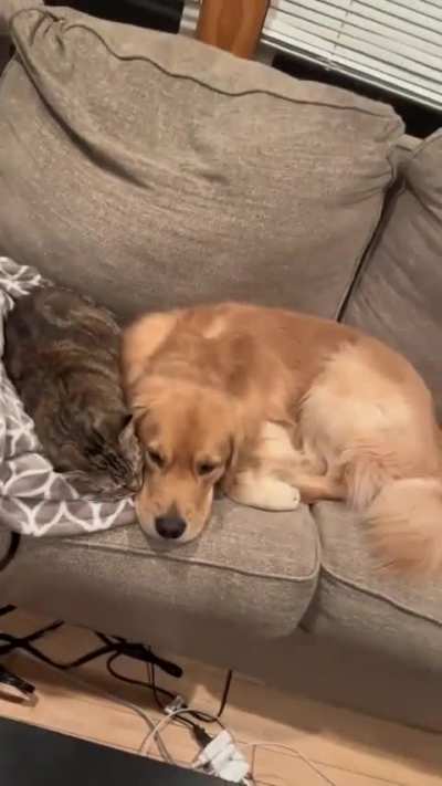 They're inseparable best friends 💕