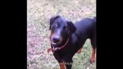 Everyone has rights to be Comrade