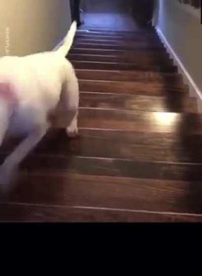 Wanna go downstairs?