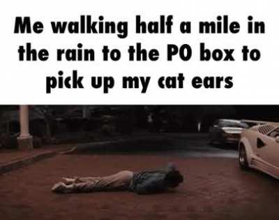 I WILL pick up those cat ears