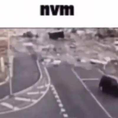 Discord is such a mold paradise...