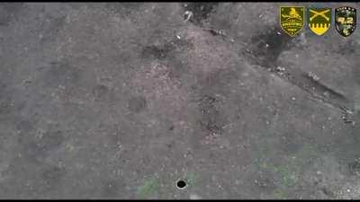 This Russian was smart enough to surrender