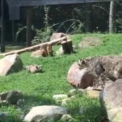 boinggggggggggggggggggggggggggg