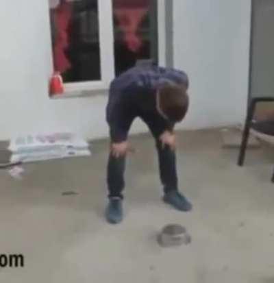 Another bowl over firecracker genius!