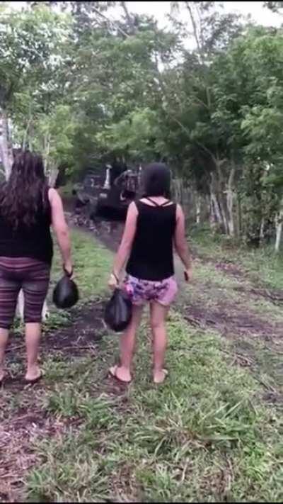 Forgot he was hauling people