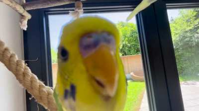 What is this rectangular thing?