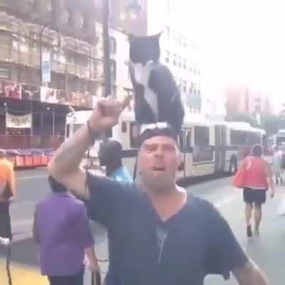 I have a cat and i`ll use it