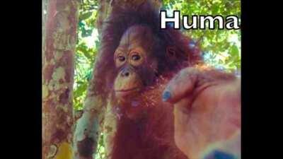 reject modernity embrace tradition