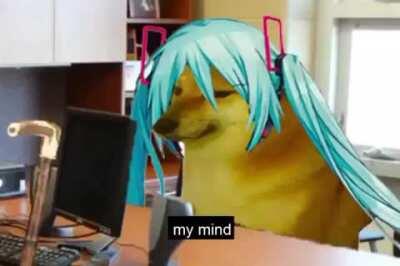 I think you guys deserve to see this during these tough times.. ;)